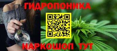 индика Мариинск