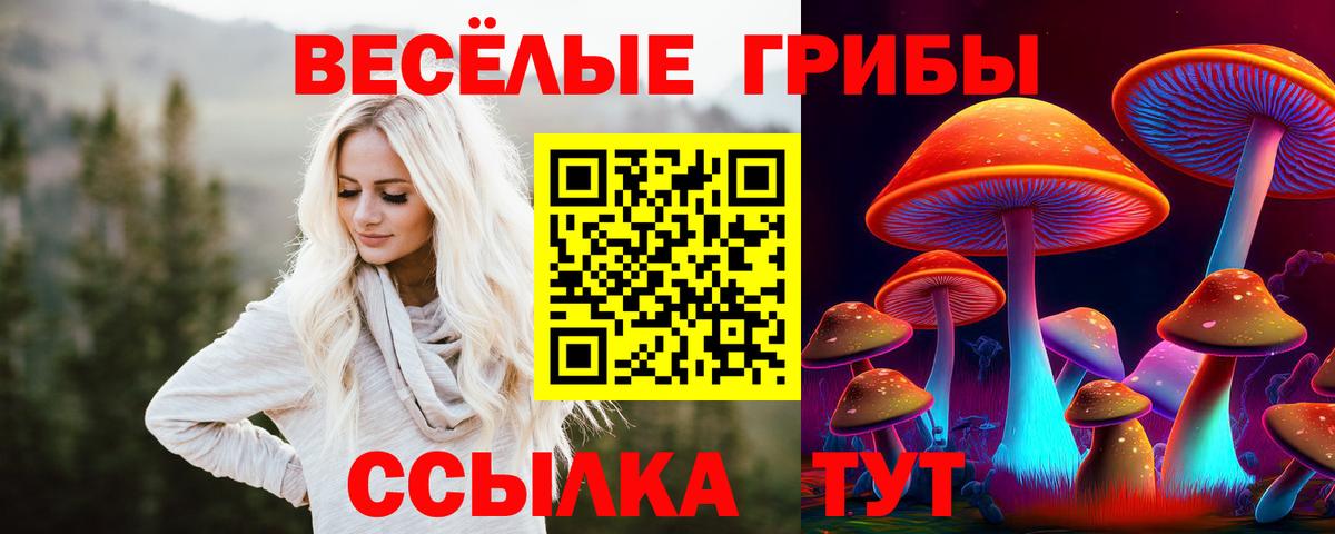Дальнегорск  Галлюциногенные грибы Psilocybe  наркошоп  Псилоцибиновые грибы Psilocybine cubensis  Вход с VPN 
