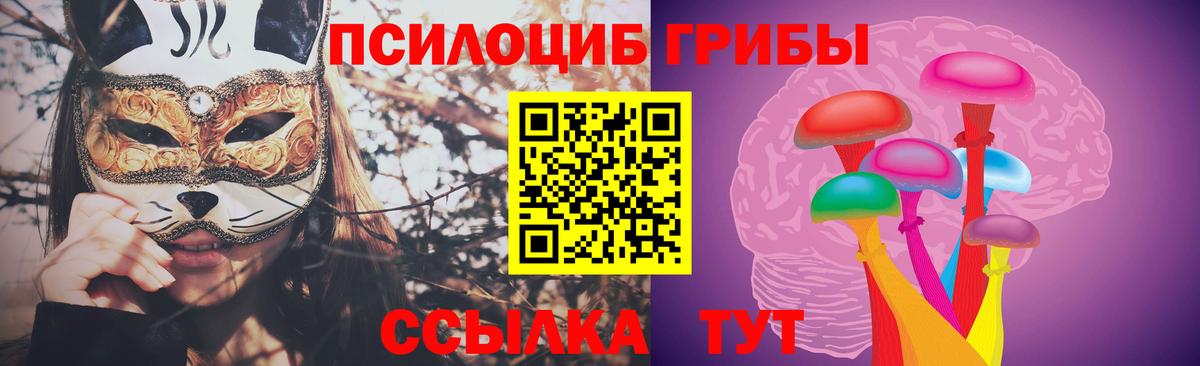 Псилоцибиновые грибы GOLDEN TEACHER Дальнегорск